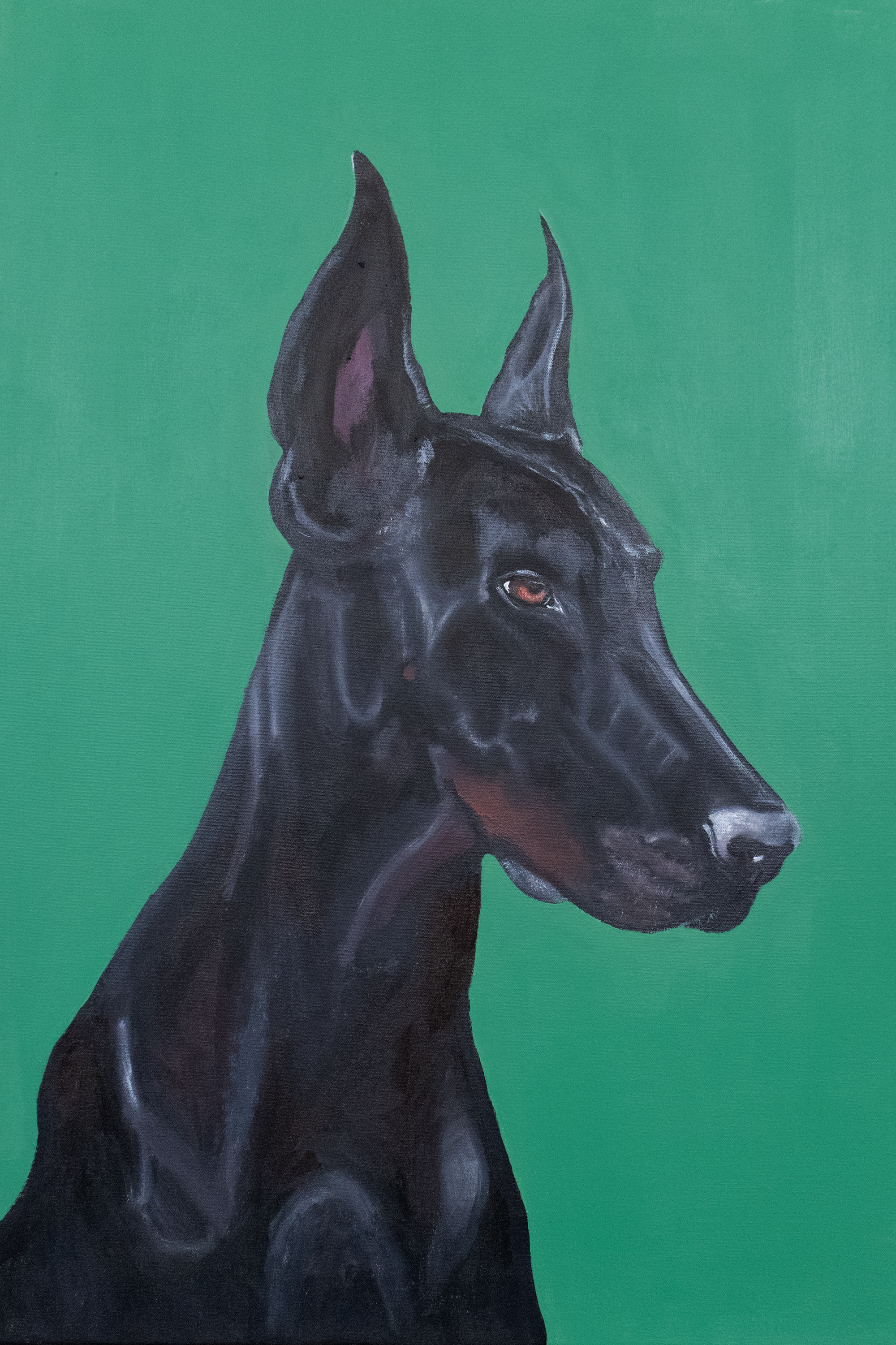 Sirius 75 x 100 cm 🔴