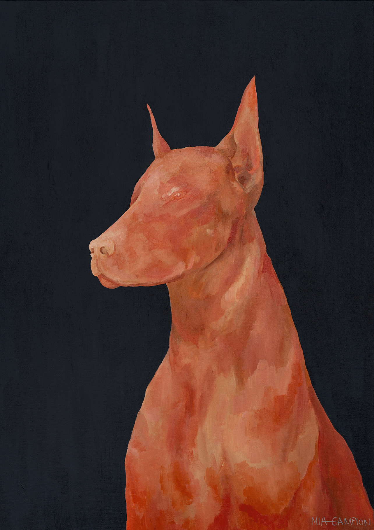 Lyra 75 x 100cm 🔴